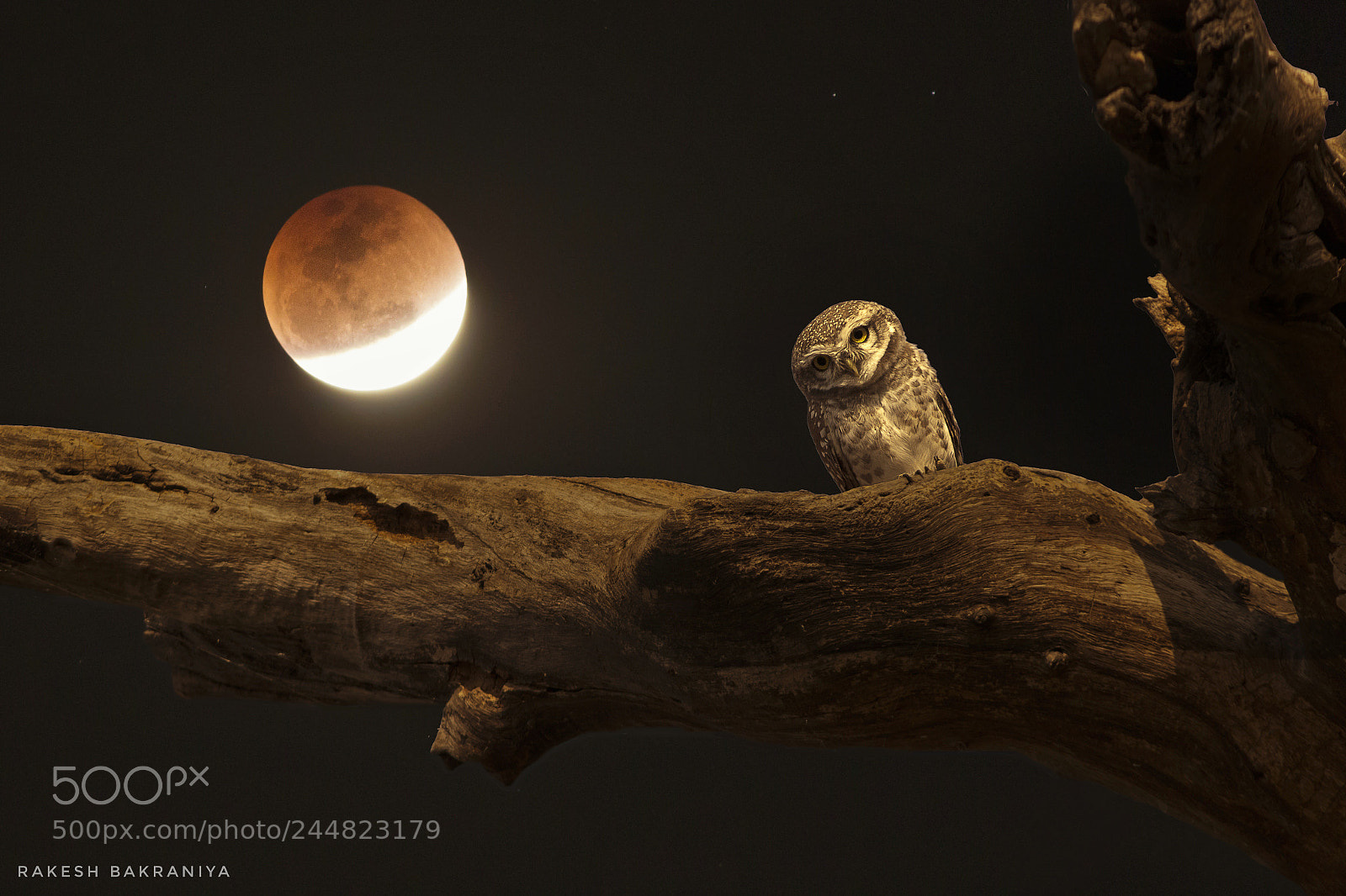 Canon EOS 1200D (EOS Rebel T5 / EOS Kiss X70 / EOS Hi) sample photo. The blood-moon 2018 combination photography