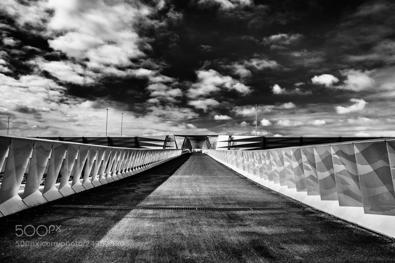Nikon D600 sample photo. Bridge photography