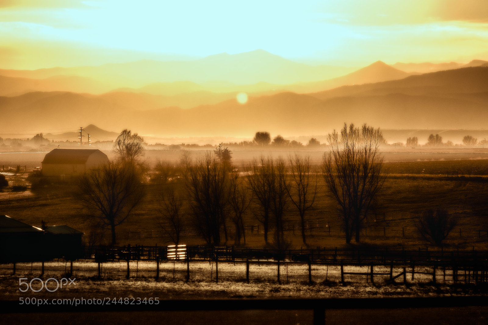 Canon EOS 7D Mark II sample photo. Golden haze photography