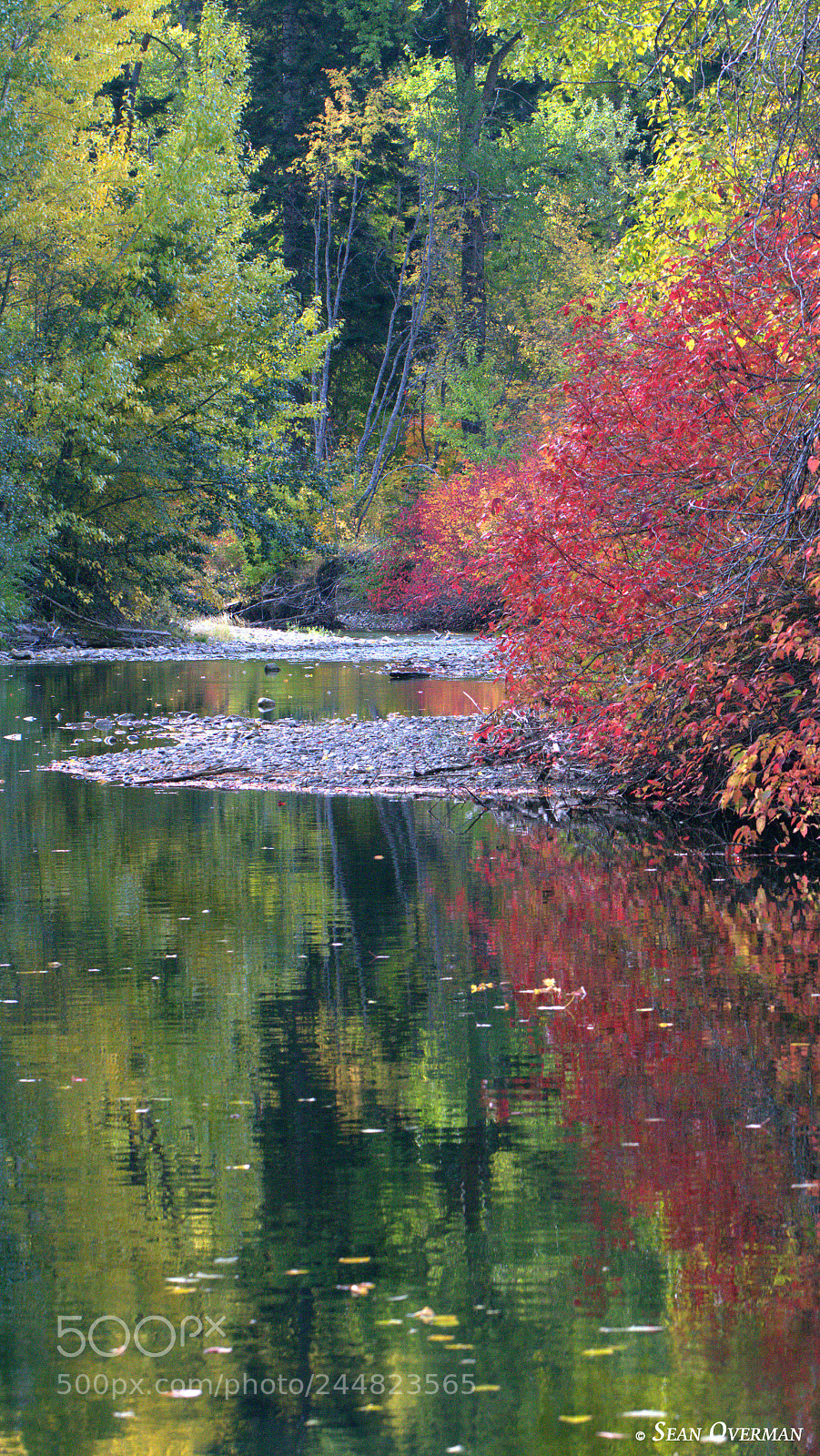 Canon EOS 550D (EOS Rebel T2i / EOS Kiss X4) sample photo. Fall colors on the photography