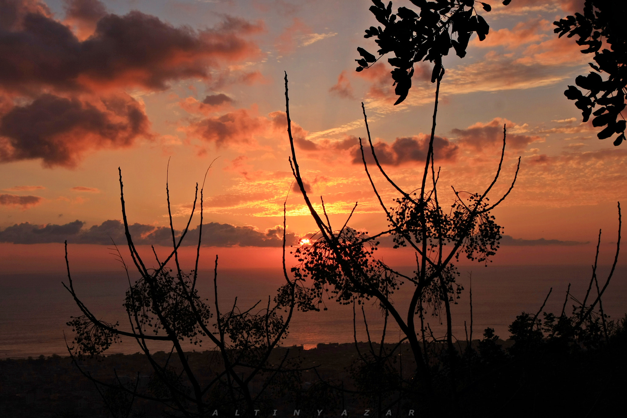Canon EOS 40D sample photo