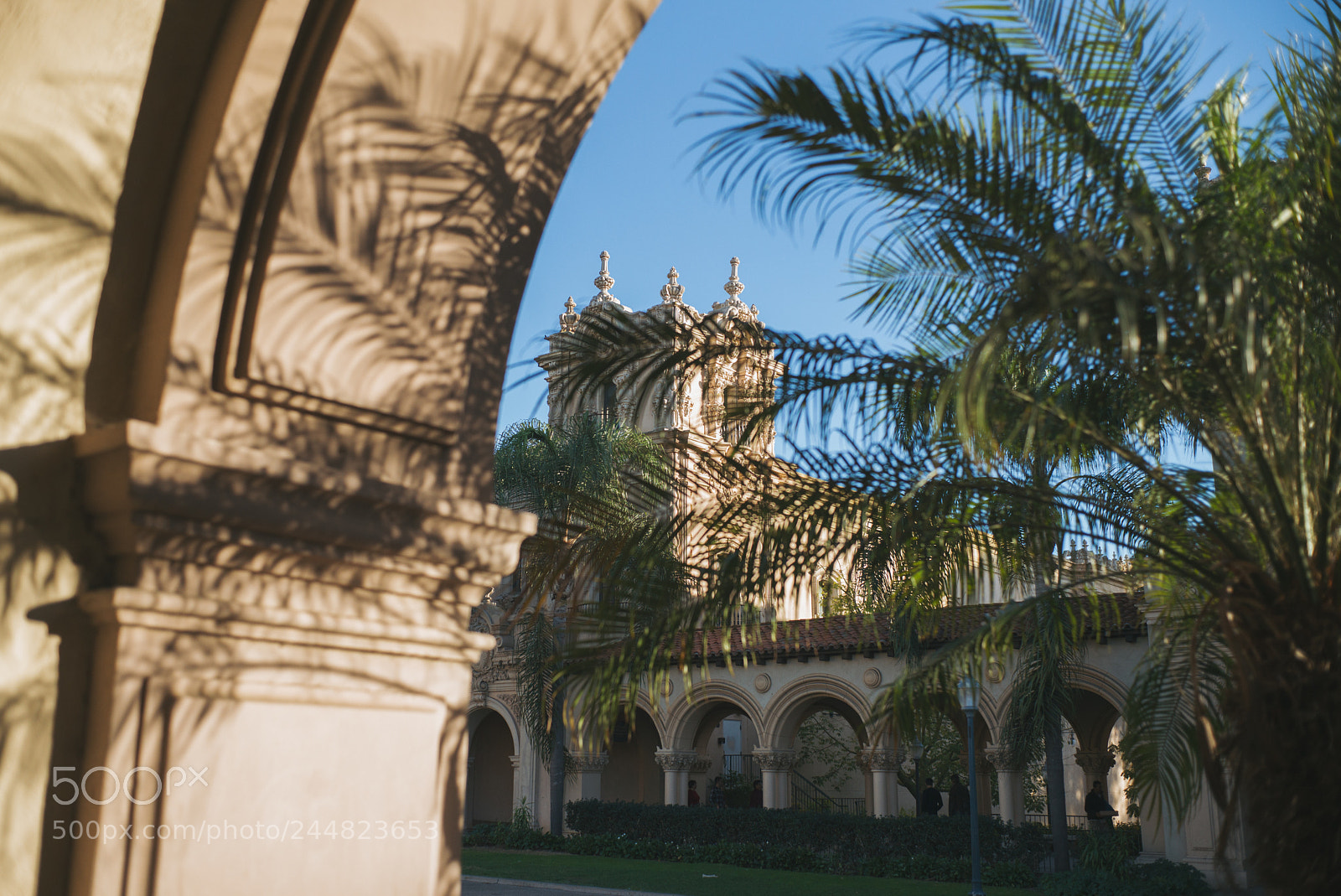 Leica M (Typ 240) sample photo. Balboa park photography