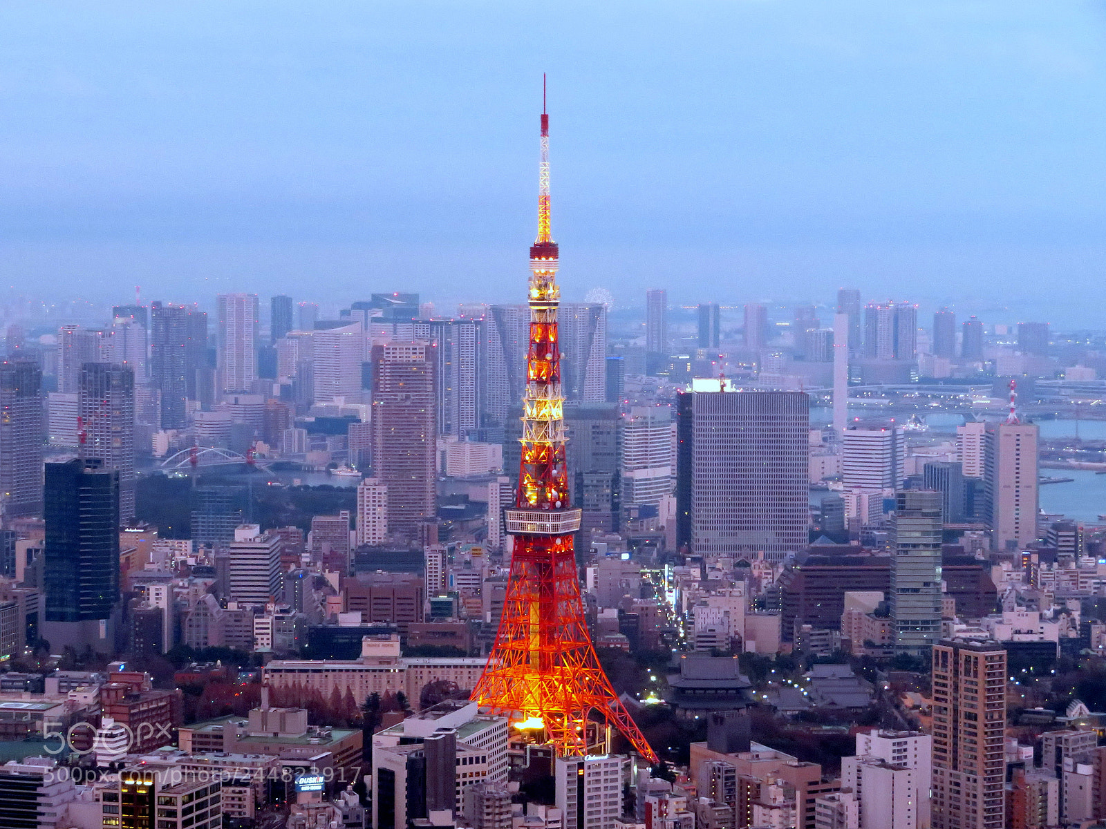 Canon PowerShot SX720 HS sample photo. Tokyo photography