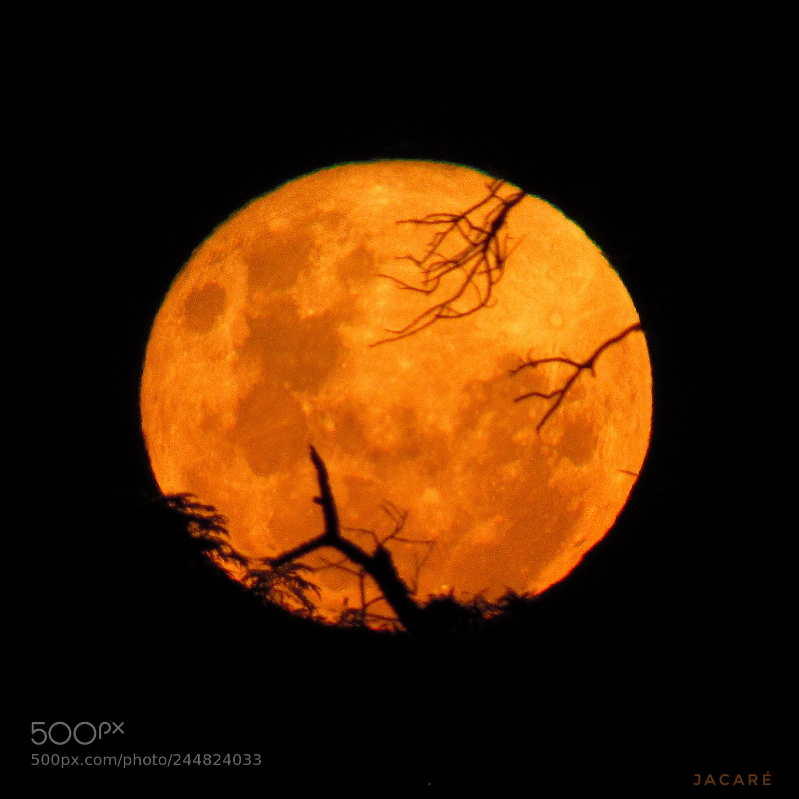 Canon PowerShot SX520 HS sample photo. Blood moon photography