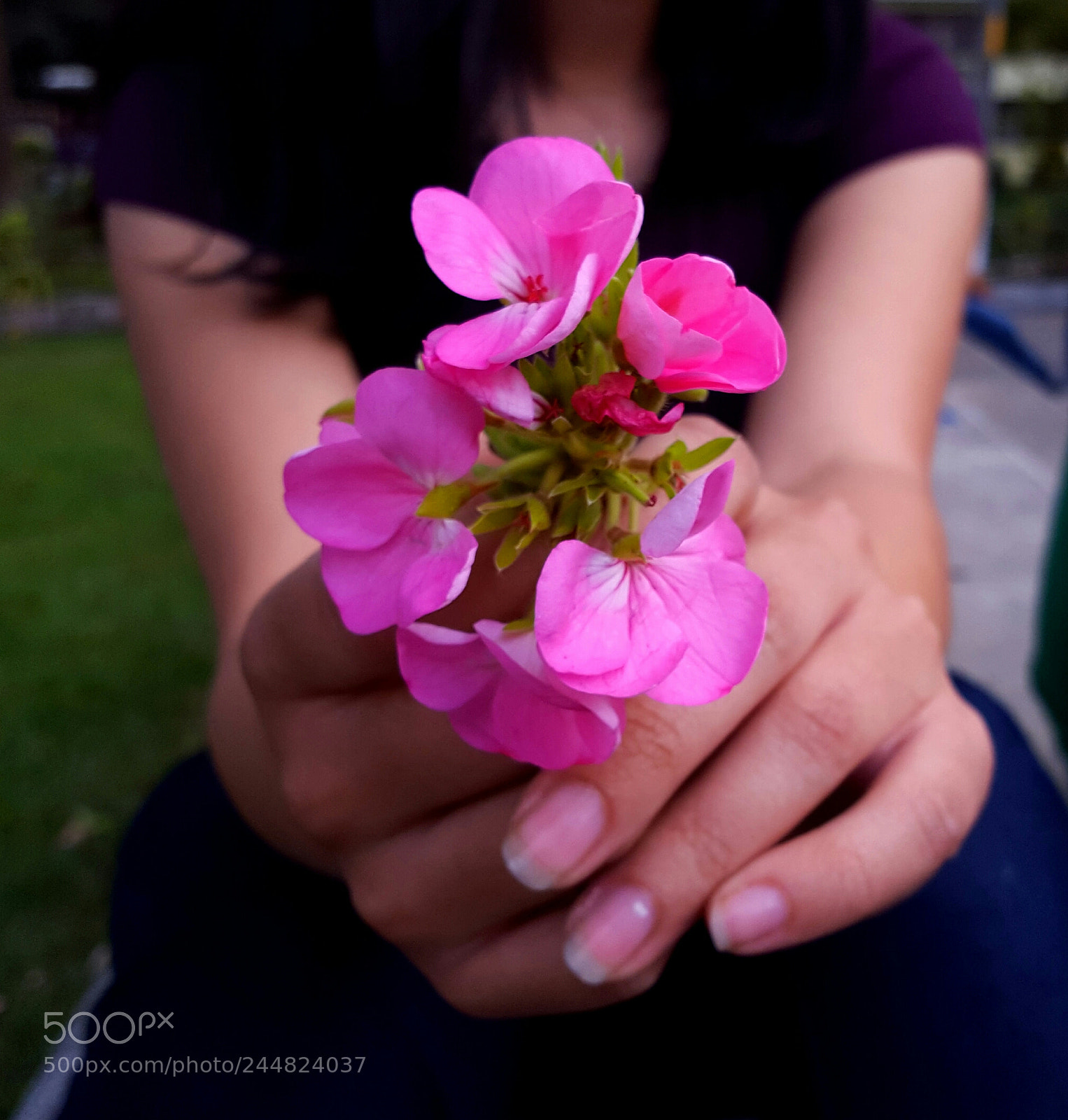 Samsung Galaxy S6 sample photo. A very special friend photography