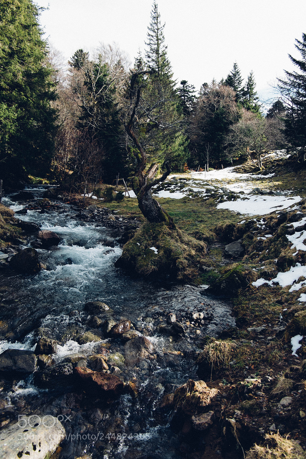 Fujifilm X-M1 sample photo. Le mont dore photography