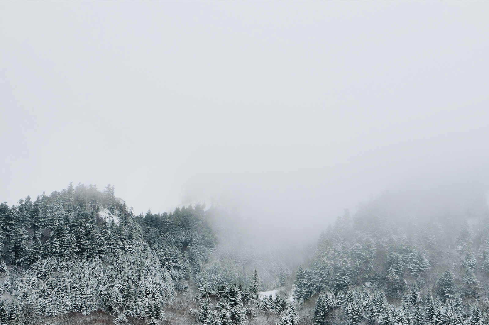 Fujifilm X-M1 sample photo. Le mont dore photography