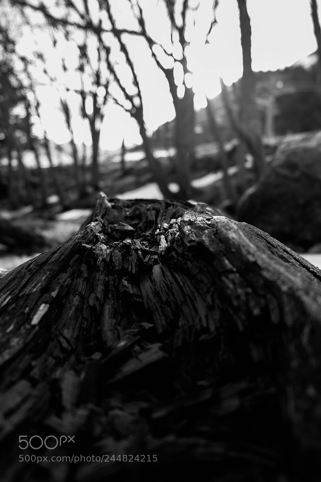 Fujifilm X-M1 sample photo. Le mont dore photography