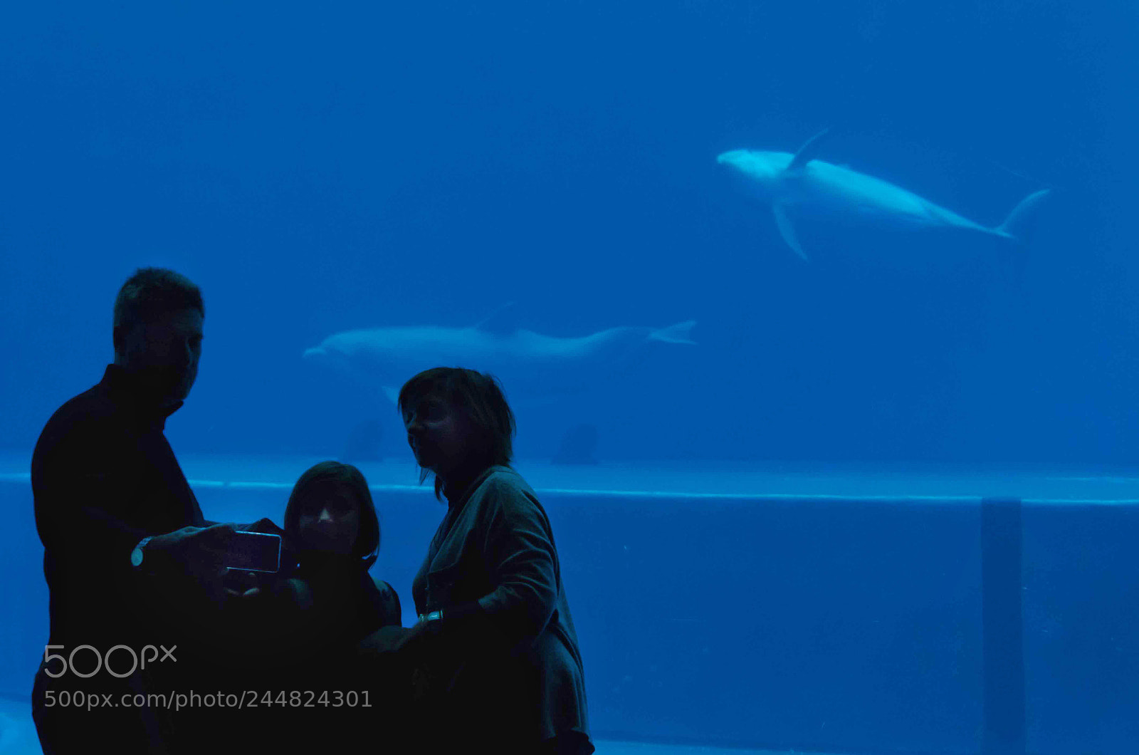 Nikon D7000 sample photo. Aquarium of genova selfie photography