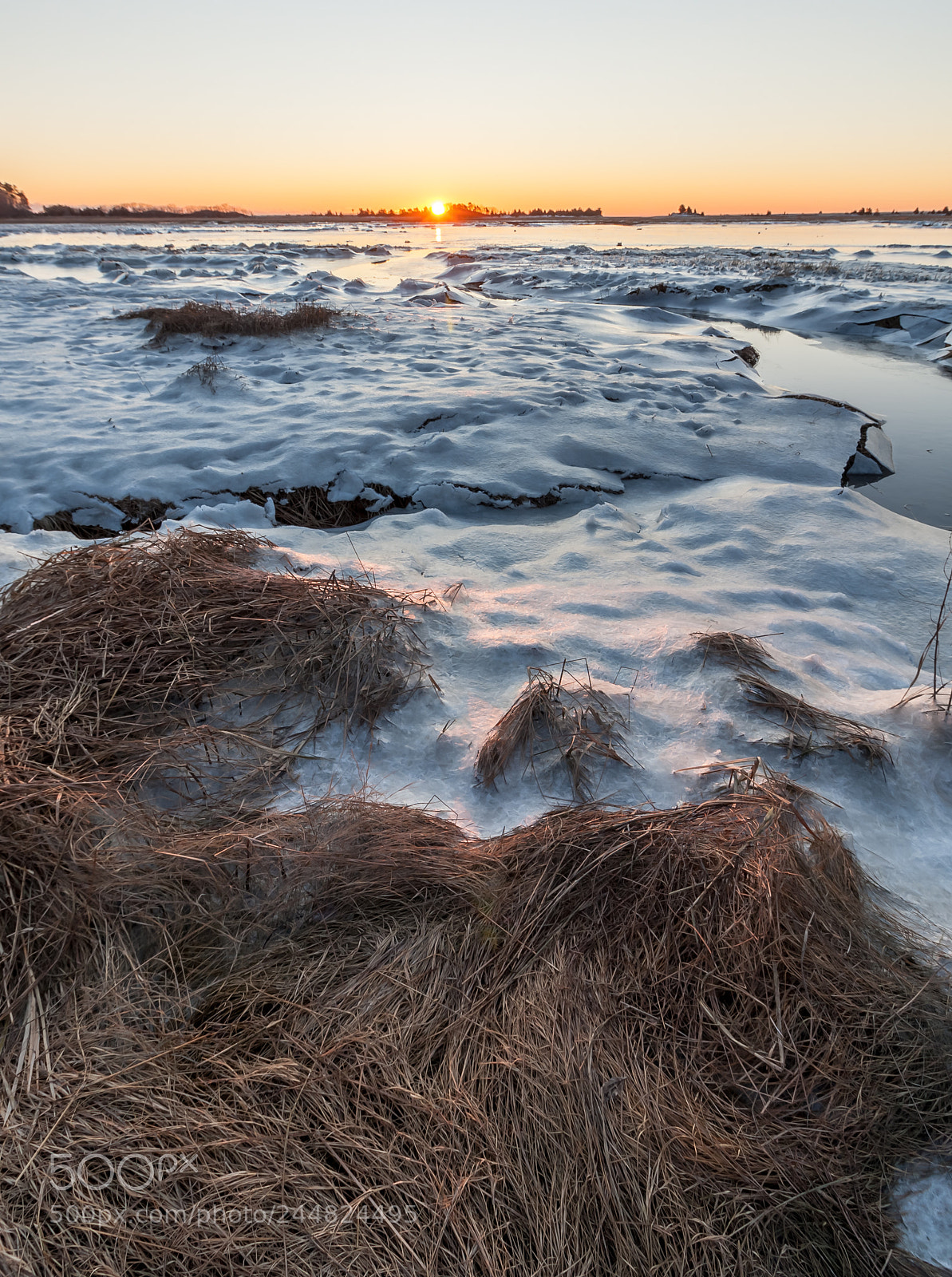 Canon EOS 40D sample photo. Frozen salt marsh photography