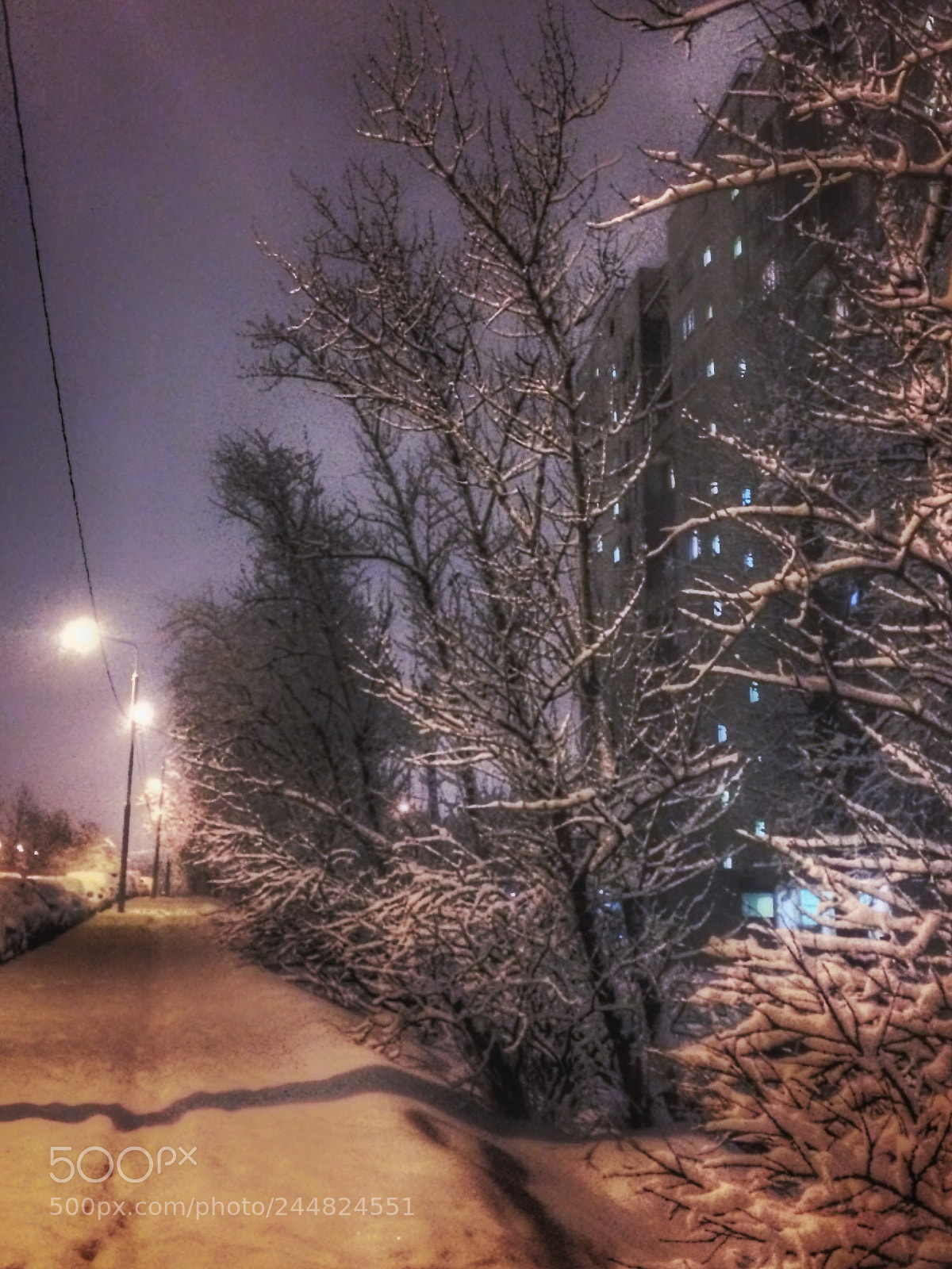Apple iPhone 5s sample photo. Untitled photography