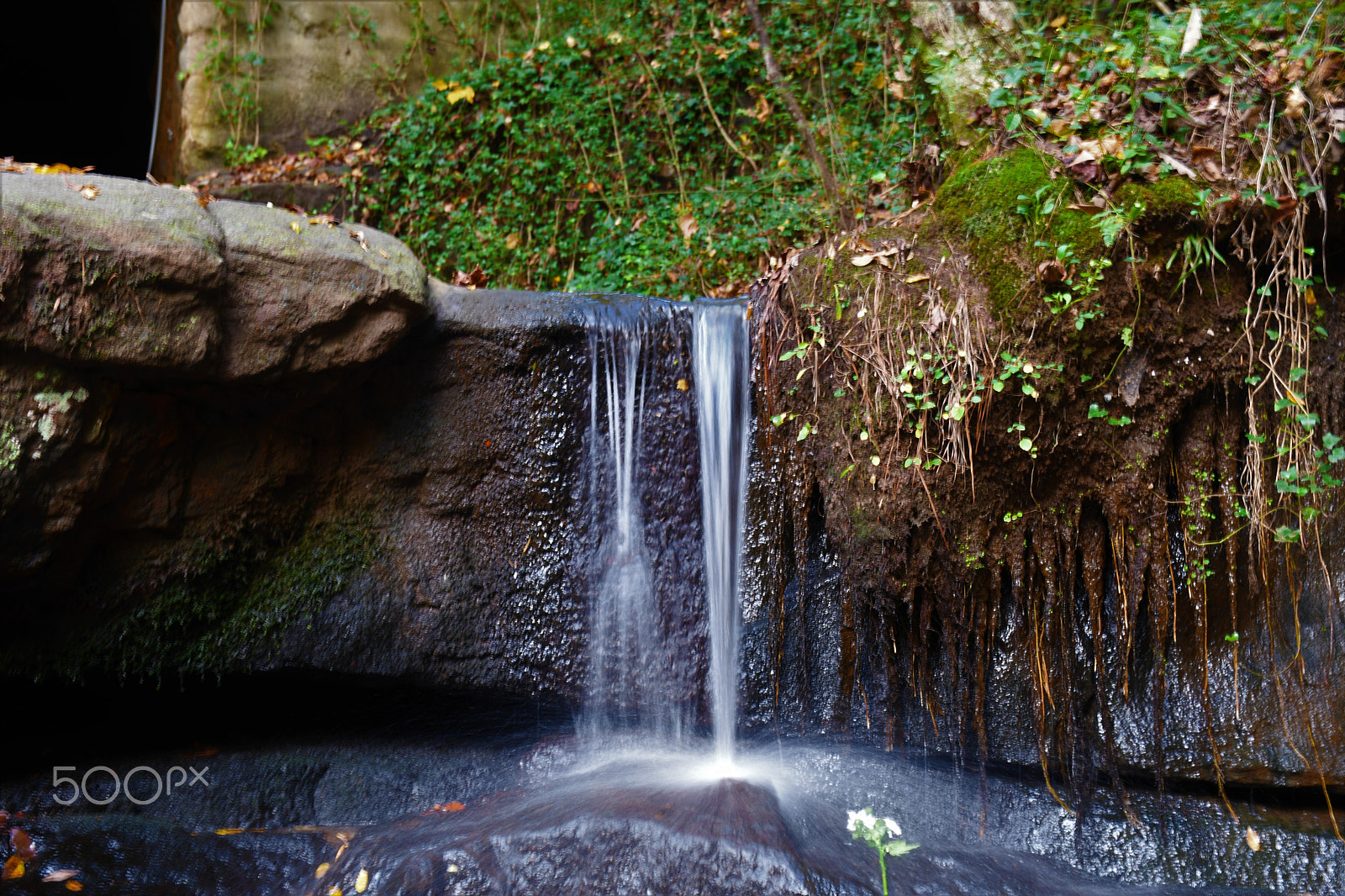 Nikon D7500 sample photo. Cascade springs photography