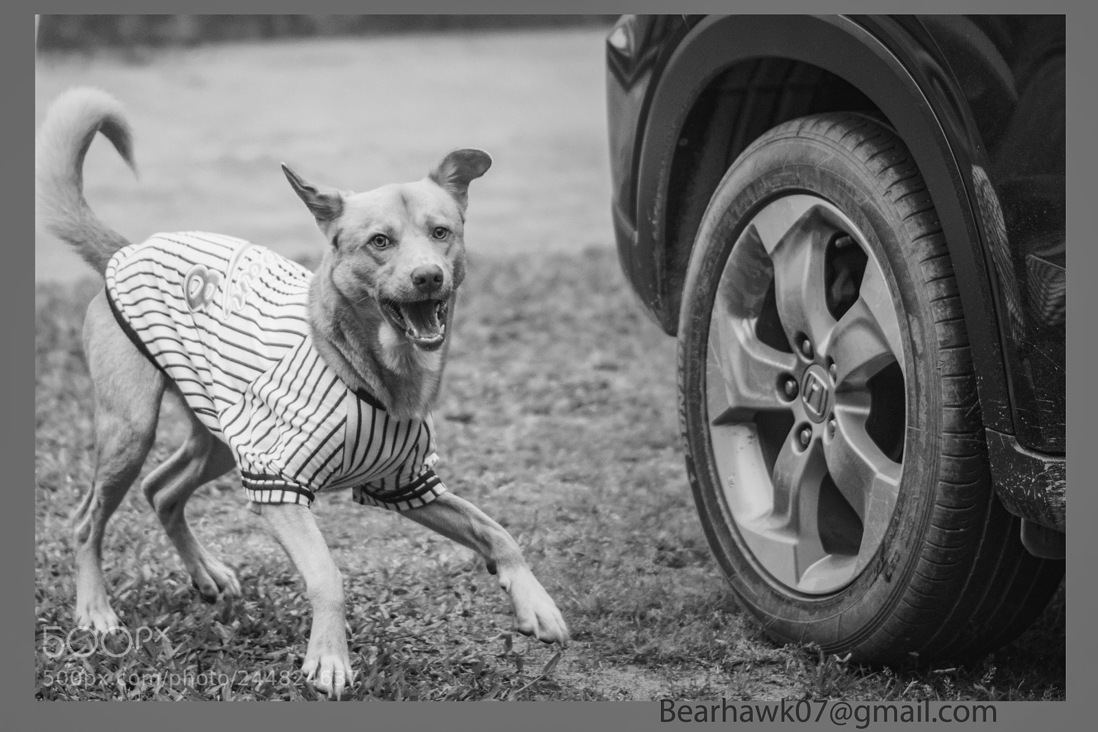 Nikon D7200 sample photo. R photography