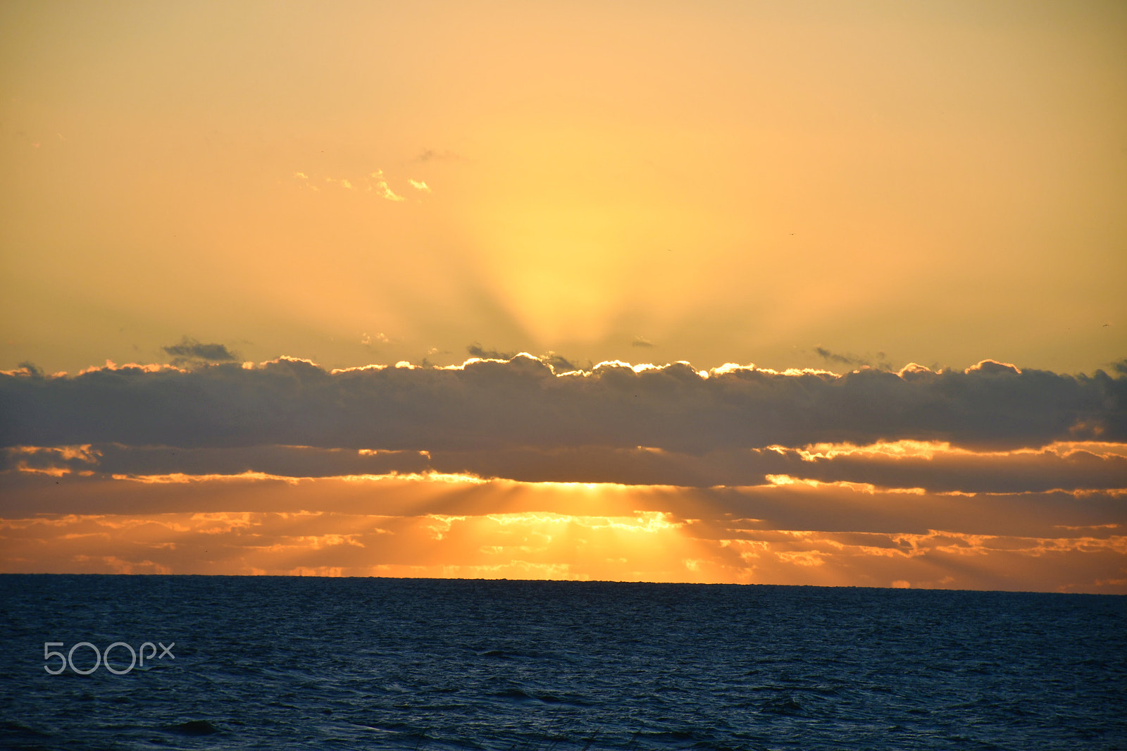 Nikon D7500 sample photo. The light will always shine through photography