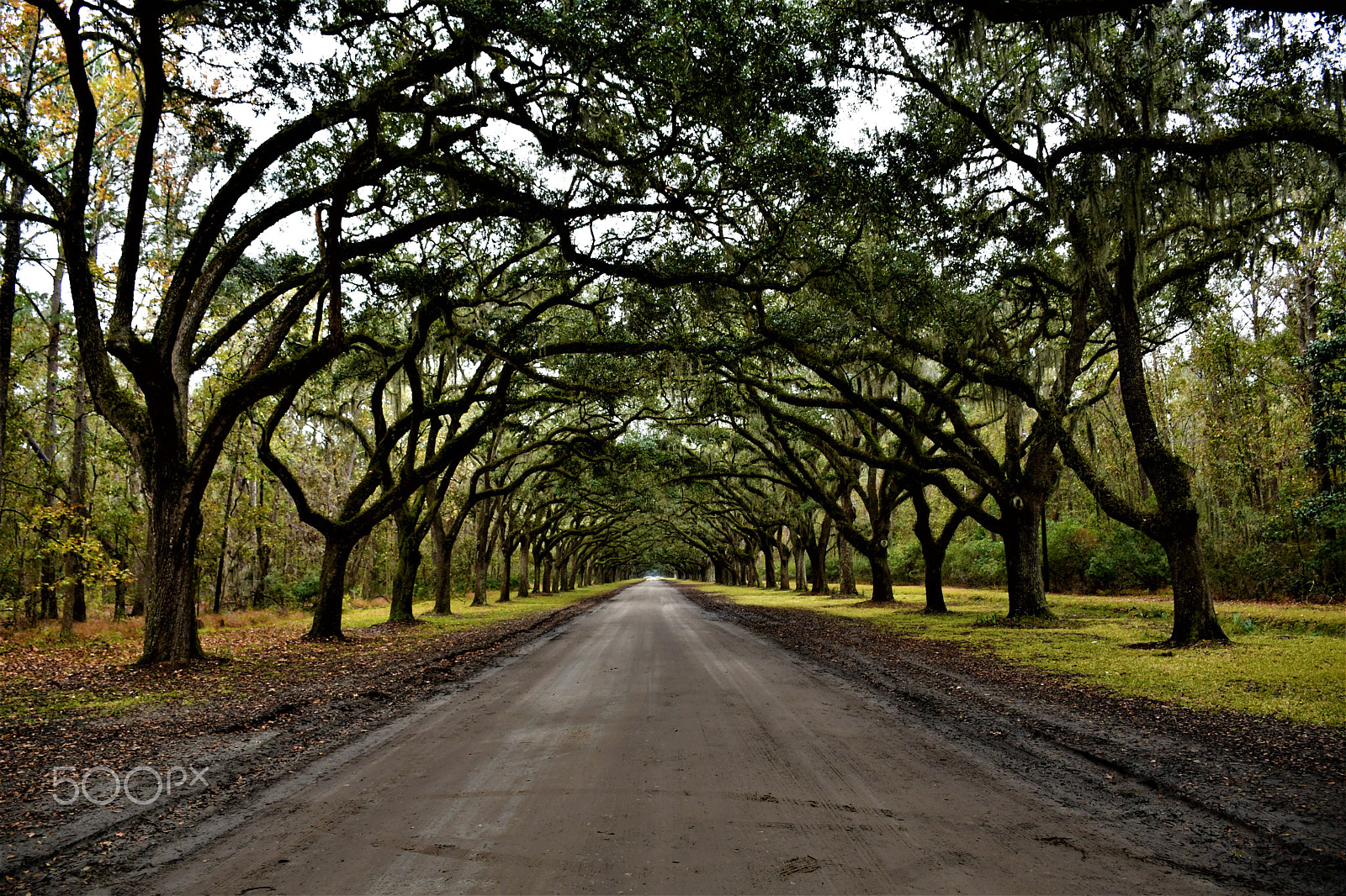 Nikon D7500 sample photo. Never ending arches photography