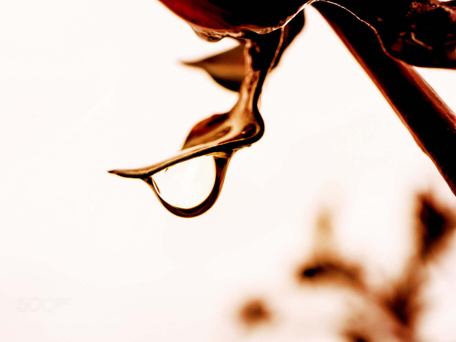 Canon EOS M10 sample photo. Untitled photography