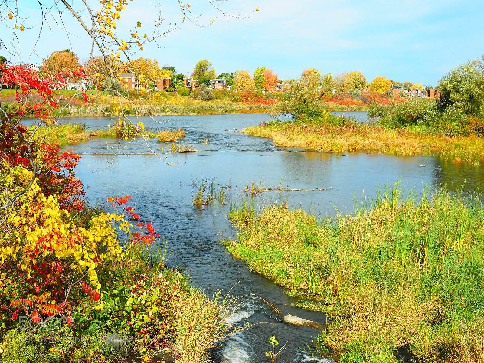 Olympus OM-D E-M5 II sample photo. Parc des rapides at photography
