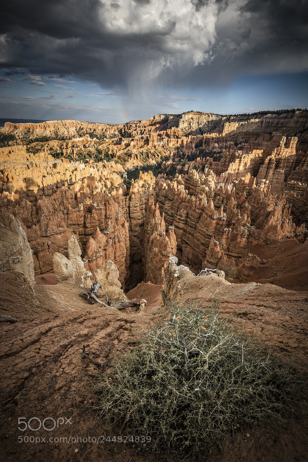 Nikon D7100 sample photo. Storm over the bryce photography