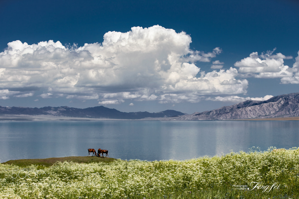 Canon EOS-1D X sample photo. Sayram lake in the photography