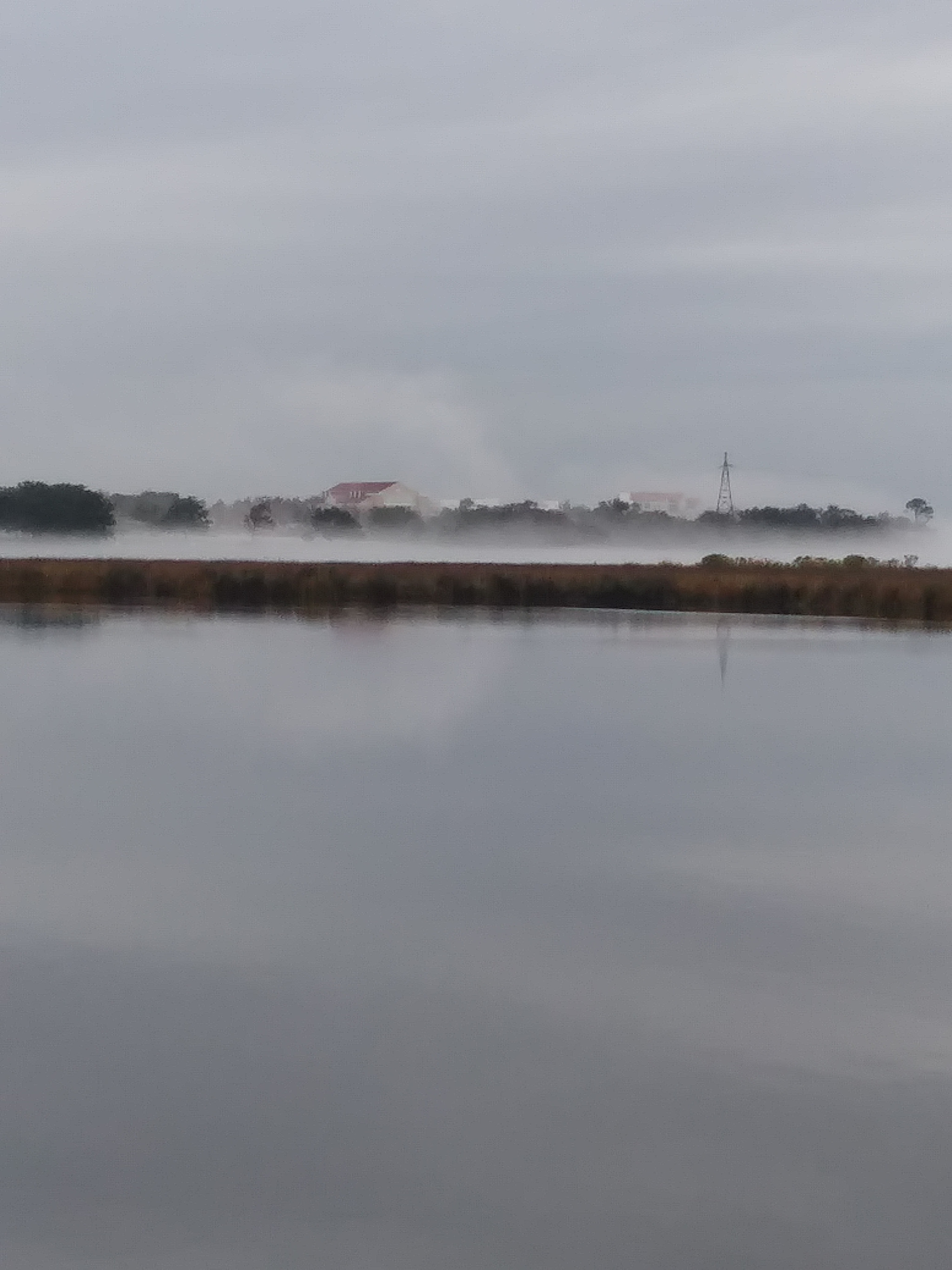 LG FIESTA LTE sample photo. Foggy beauty in mississippi photography