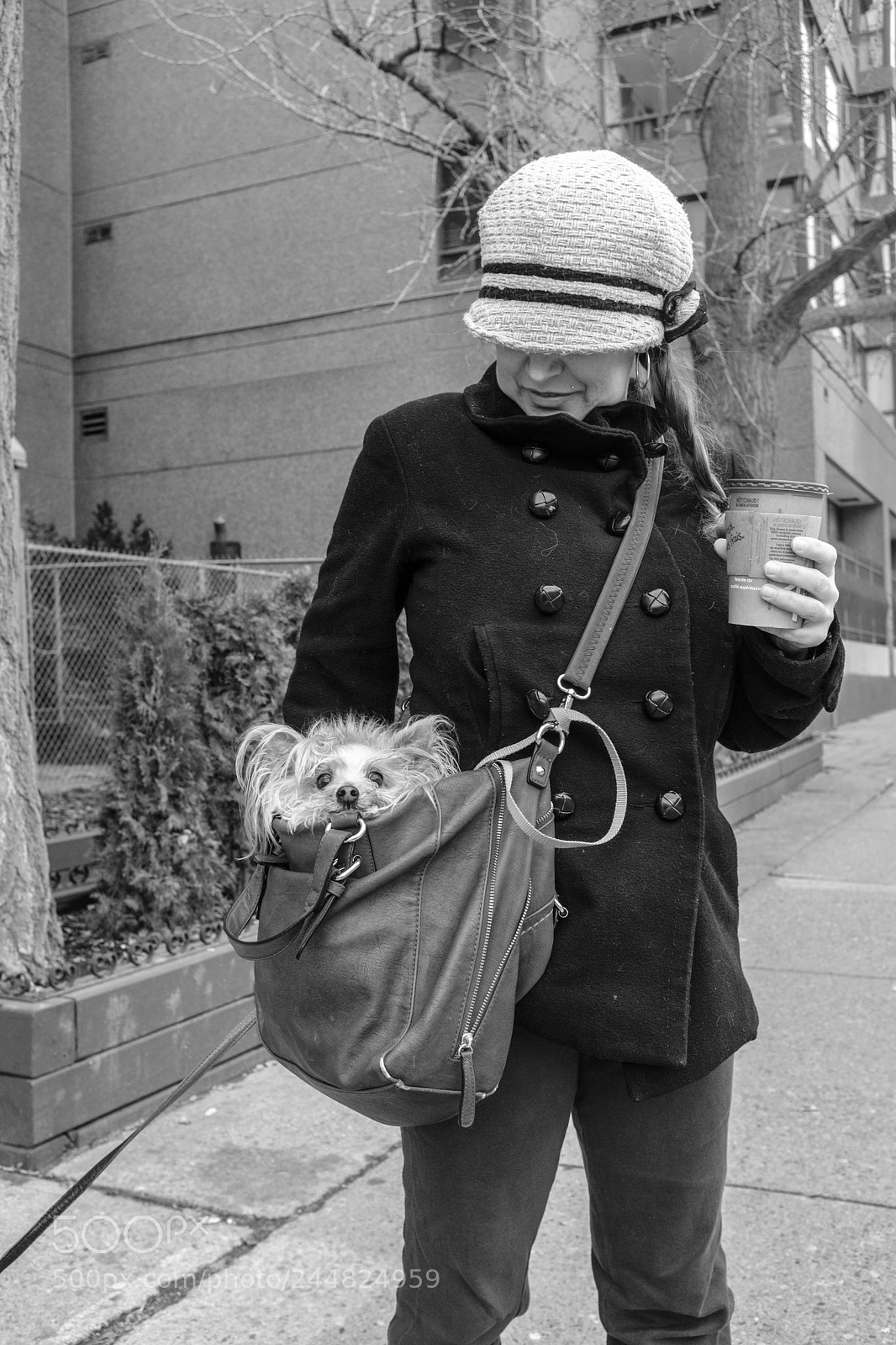 Fujifilm X100F sample photo. Untitled shoot photography