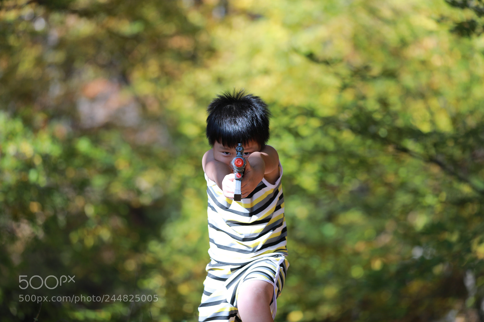 Canon EF 70-200mm F2.8L IS II USM sample photo. Ka photography