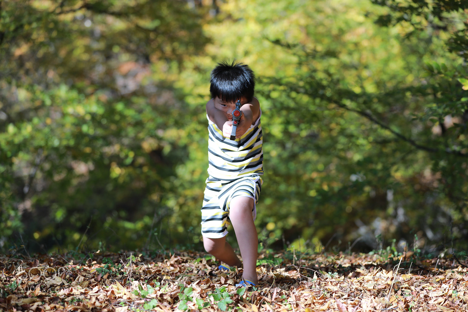 Canon EF 70-200mm F2.8L IS II USM sample photo. Ka photography