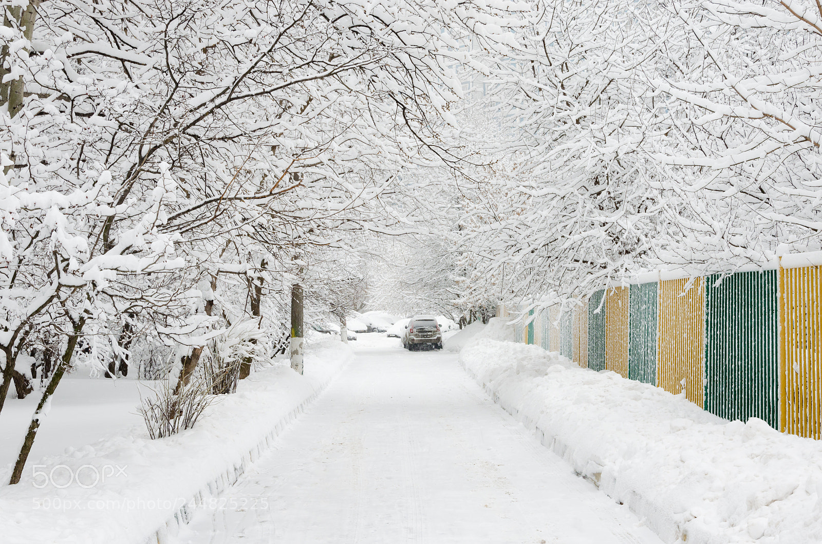 Nikon D5100 sample photo. Winter is here photography