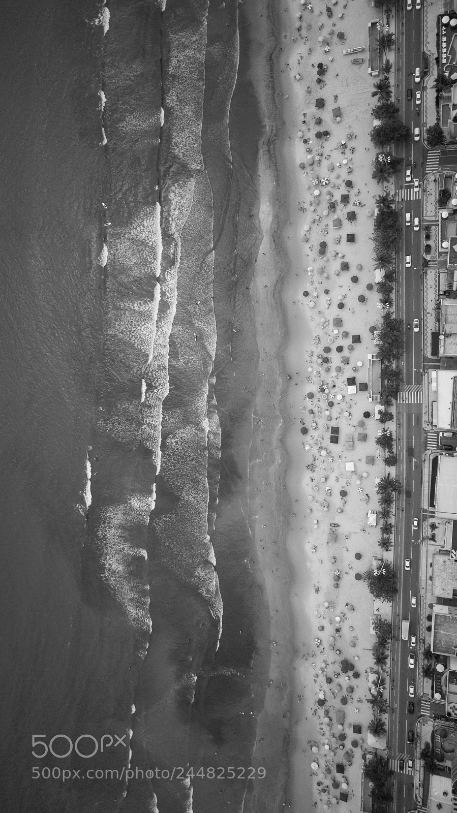 DJI FC220 sample photo. Untitled photography