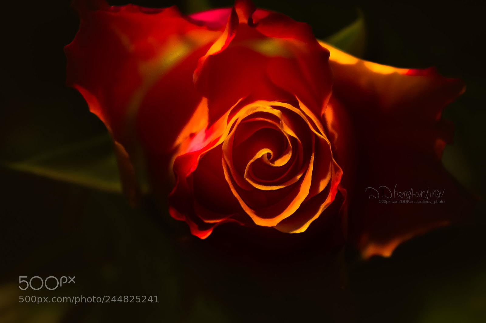 Sony Alpha NEX-5 sample photo. Fire vortex photography