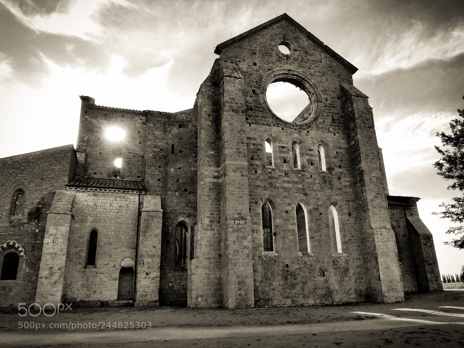 Panasonic Lumix DMC-FZ200 sample photo. Untitled photography