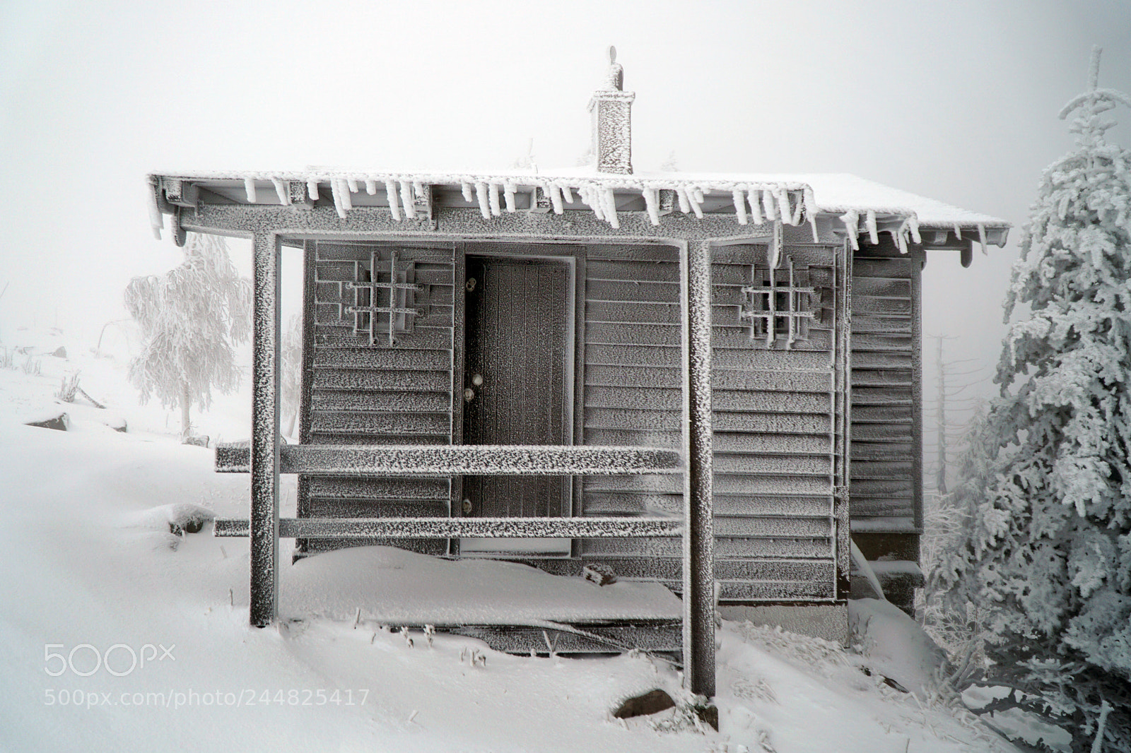 Sony a6000 sample photo. Hut on hornisgrinde photography