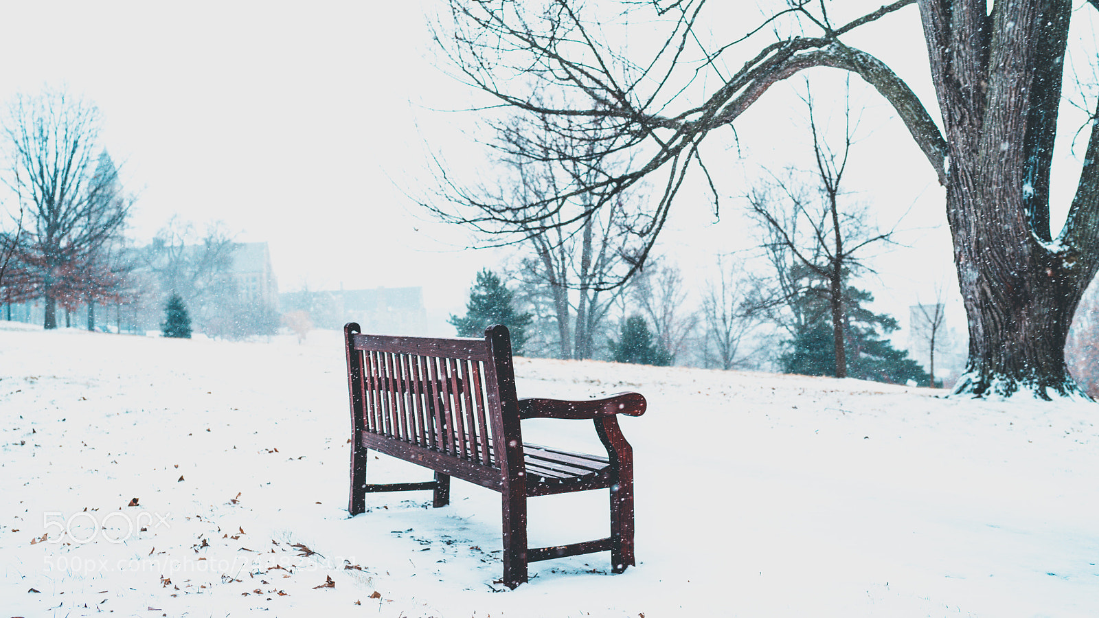 Sony a7 II sample photo. Ithaca - snowstorm photography