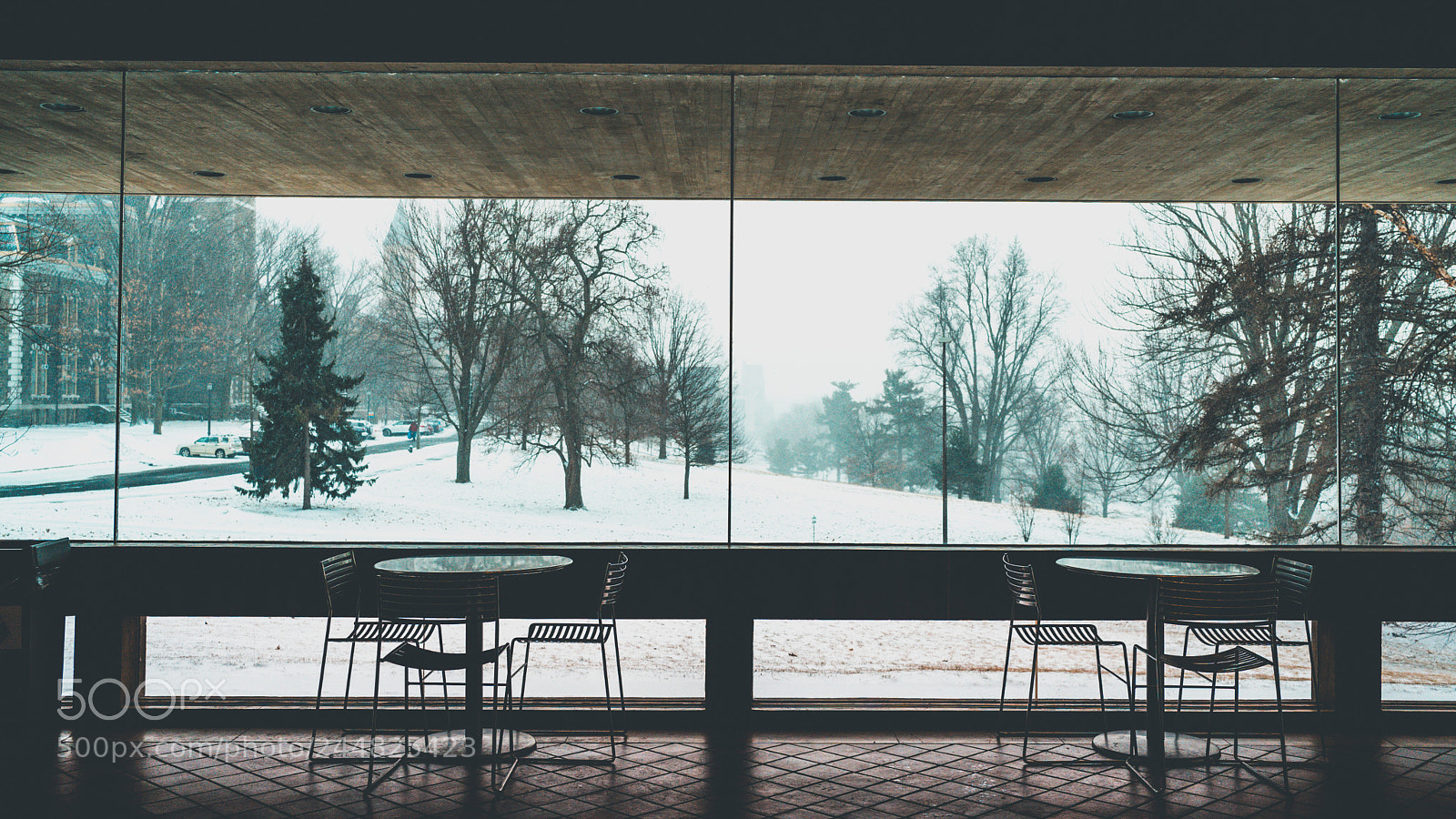Sony a7 II sample photo. Ithaca - snowstorm photography