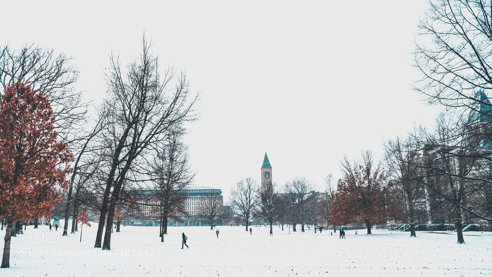 Sony a7 II sample photo. Ithaca - snowstorm photography
