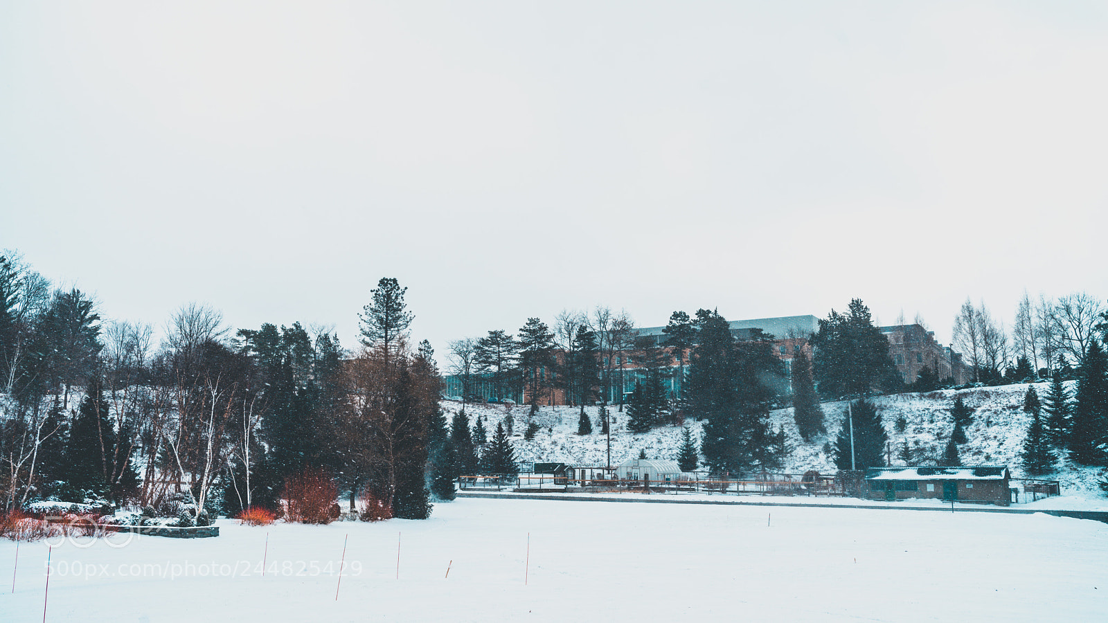 Sony a7 II sample photo. Ithaca - snowstorm photography