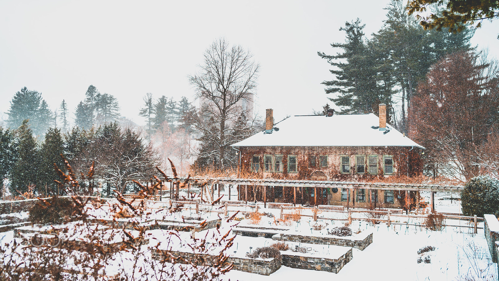 Sony a7 II sample photo. Ithaca - snowstorm photography