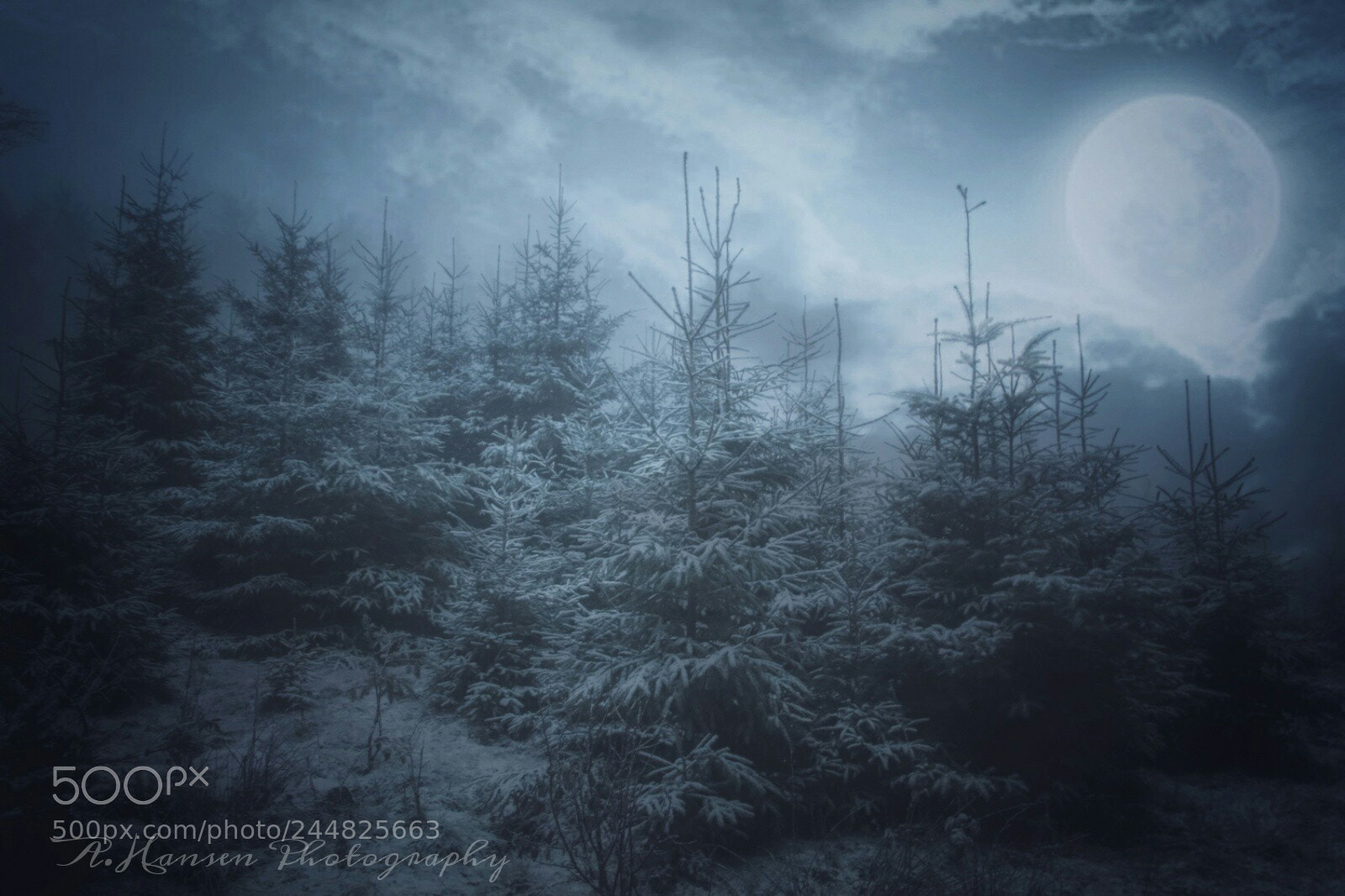 Canon EOS 750D (EOS Rebel T6i / EOS Kiss X8i) sample photo. Moonshine serenade  photography