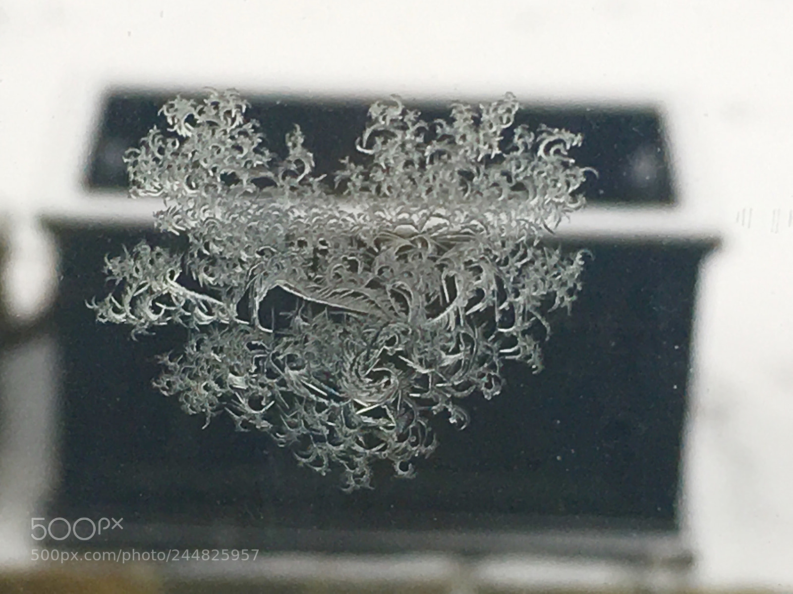 Apple iPhone 6s Plus sample photo. Icy heart photography