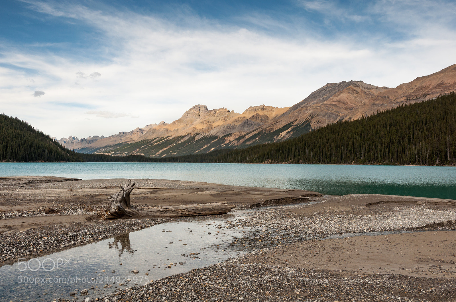 Nikon D90 sample photo. Peyto lake ii, canada photography