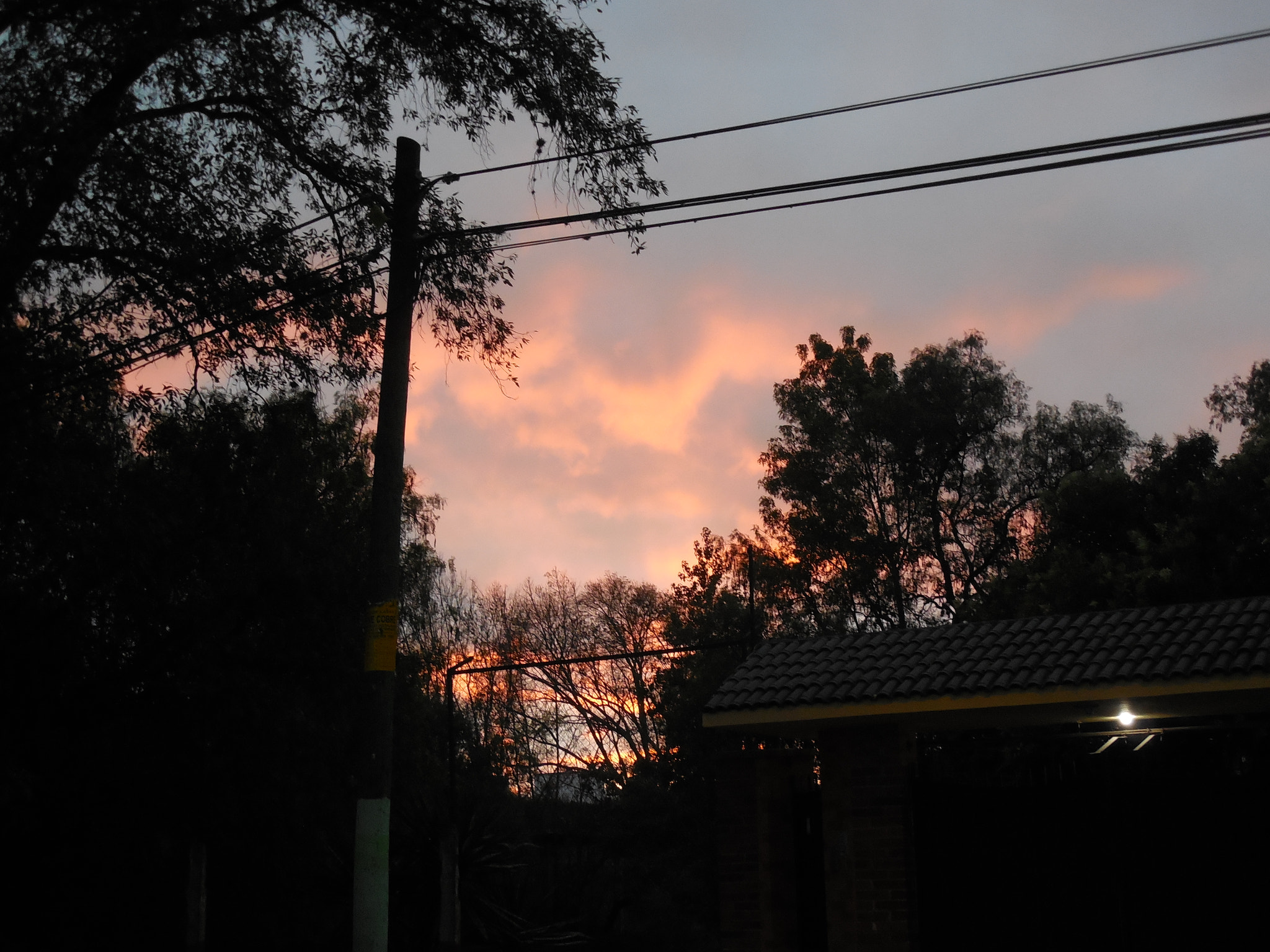 Nikon Coolpix L610 sample photo. Pink photography