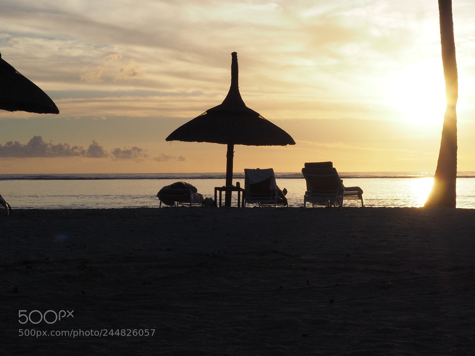 Olympus OM-D E-M10 II sample photo. Mauritius photography