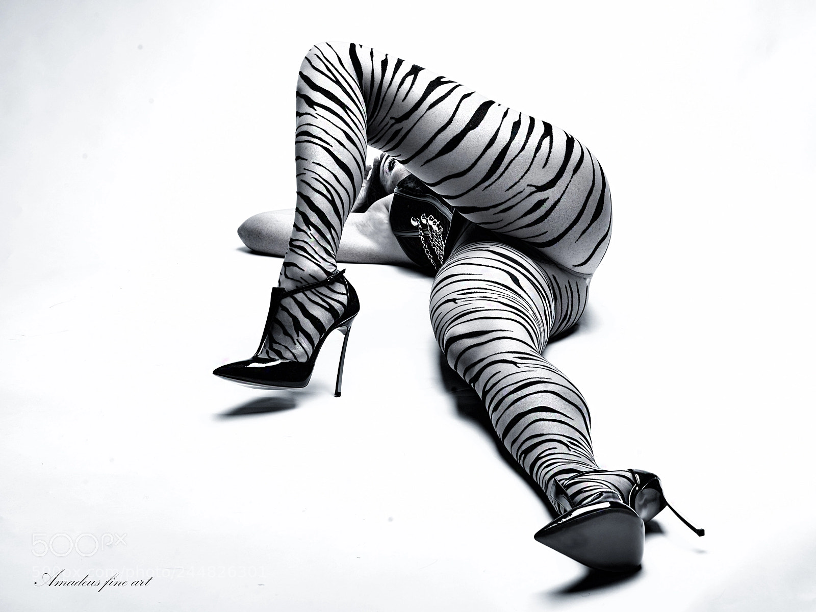 Nikon D3 sample photo. Tiger photography