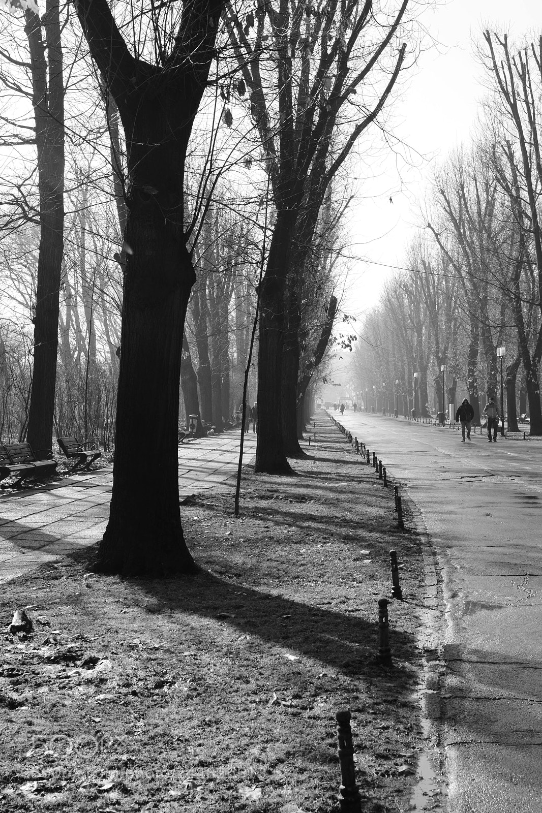Nikon D7100 sample photo. Walk in the park photography