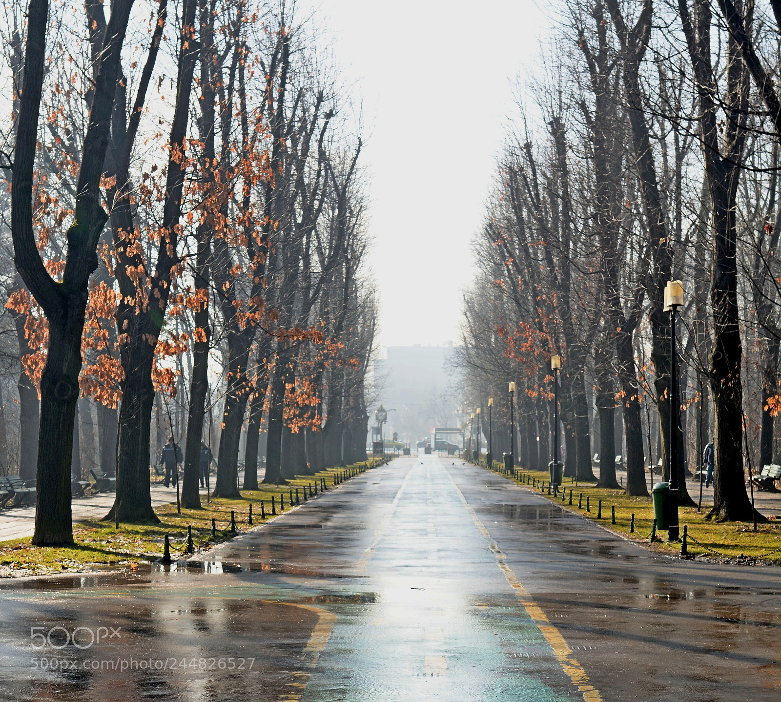 Nikon D7100 sample photo. After a rainy day photography