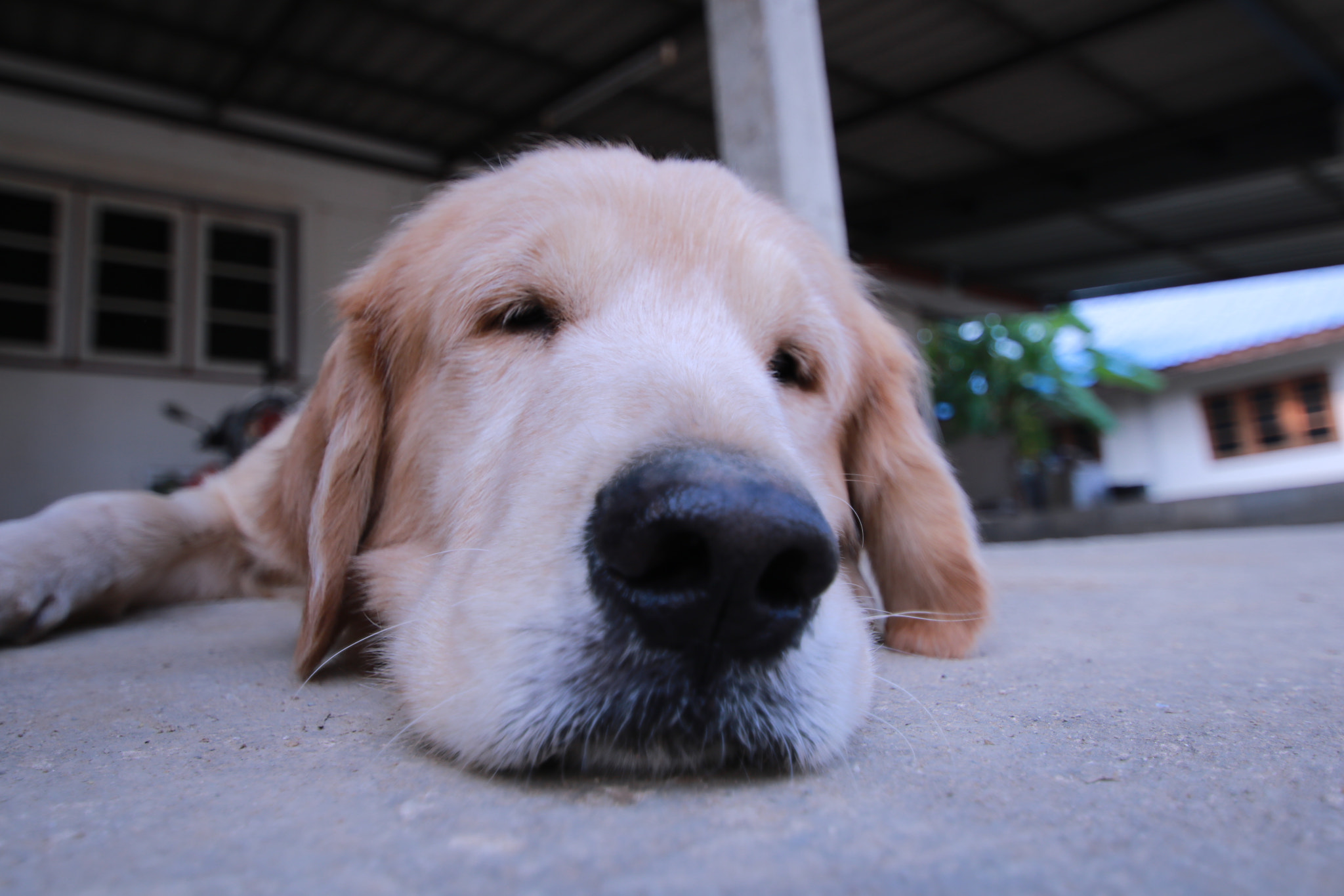 Canon EOS 750D (EOS Rebel T6i / EOS Kiss X8i) + Sigma 10-20mm F3.5 EX DC HSM sample photo. Ma boy ❤❤ photography