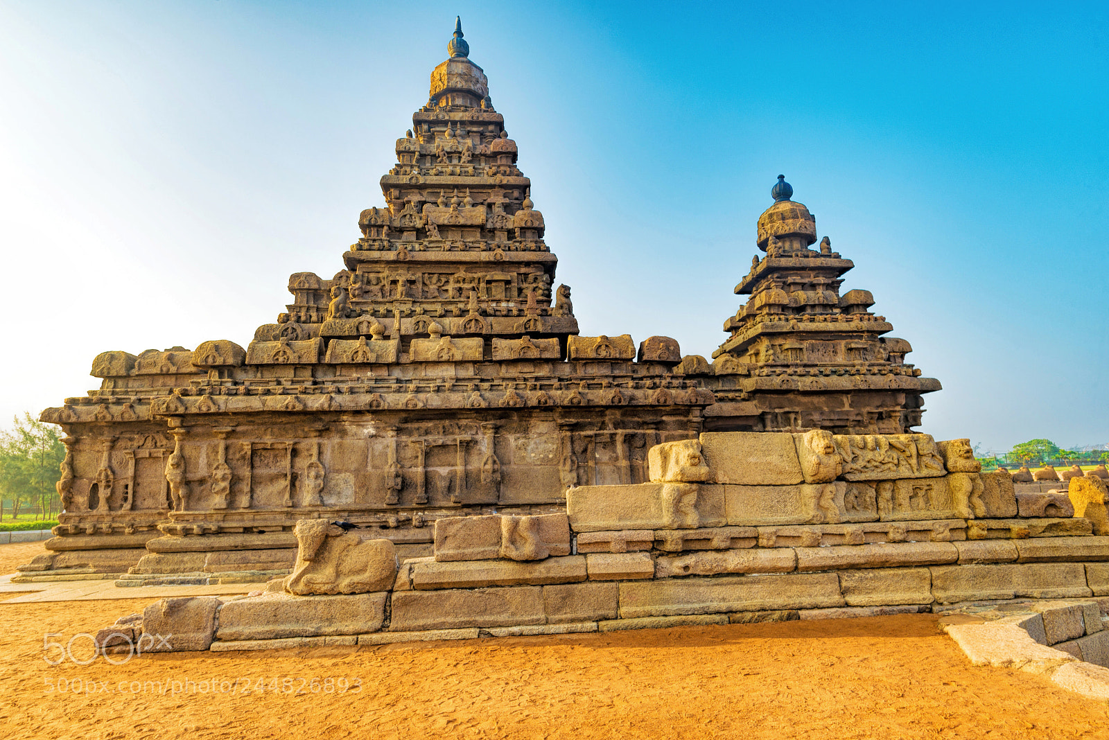 Nikon D610 sample photo. Shore temple mahabalipuram photography