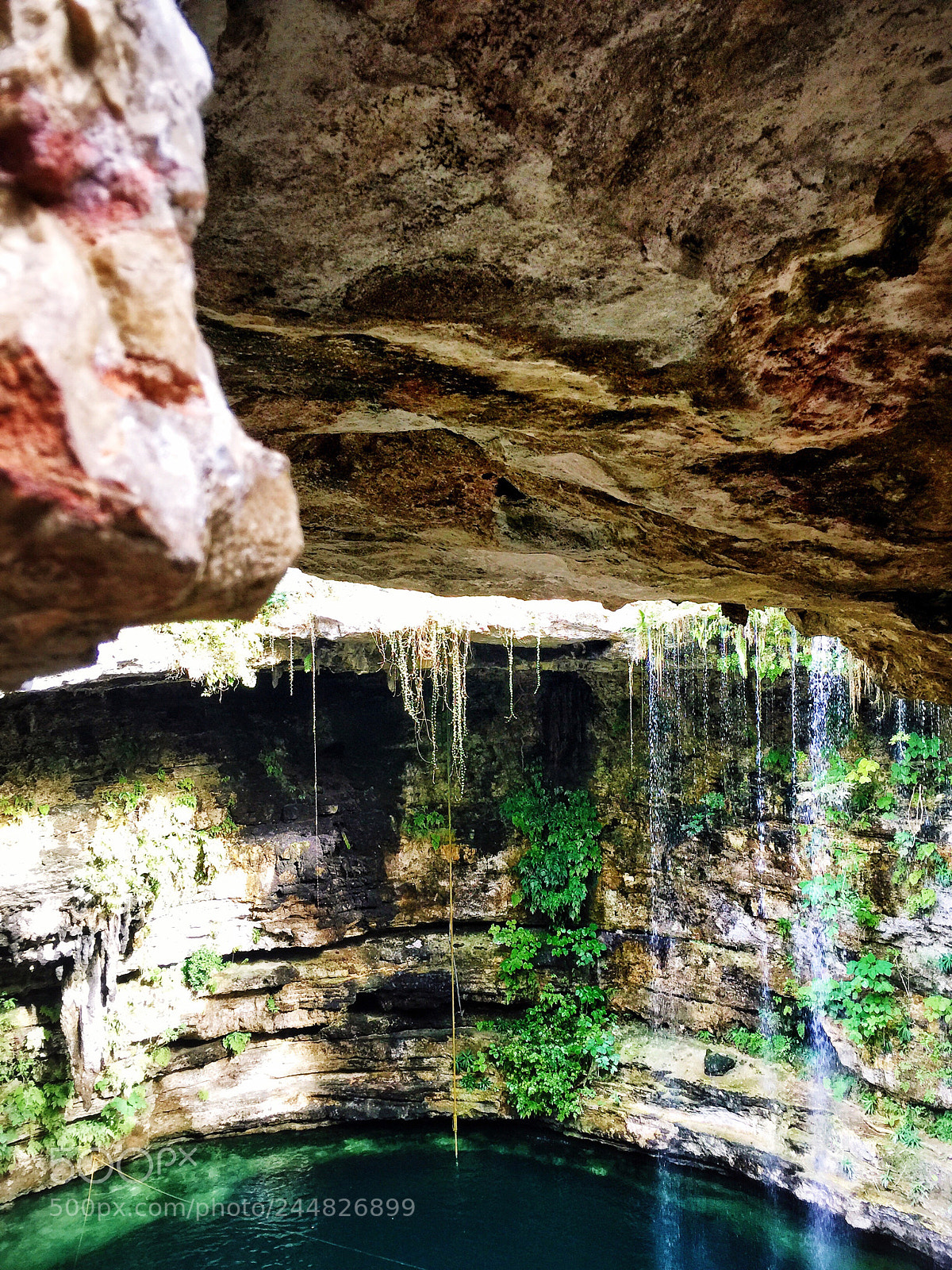 Apple iPhone 6 Plus sample photo. A stunning cenote photography