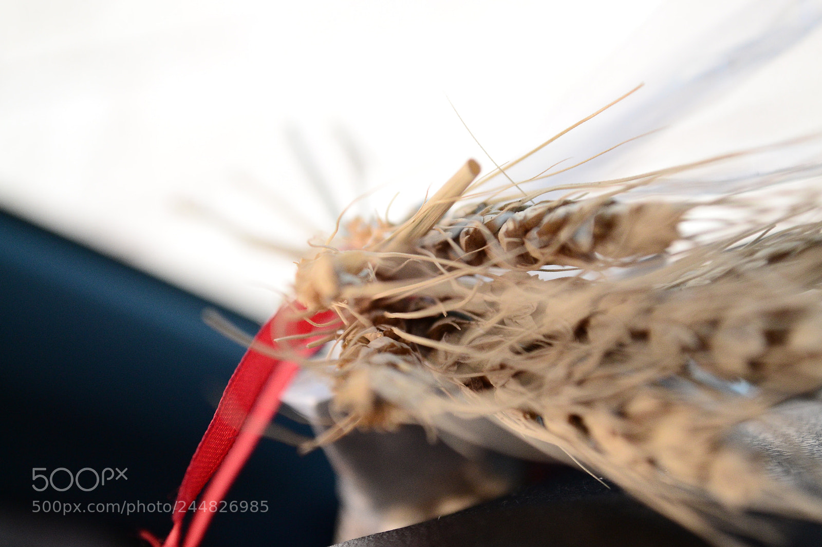 Nikon D3100 sample photo. Untitled photography