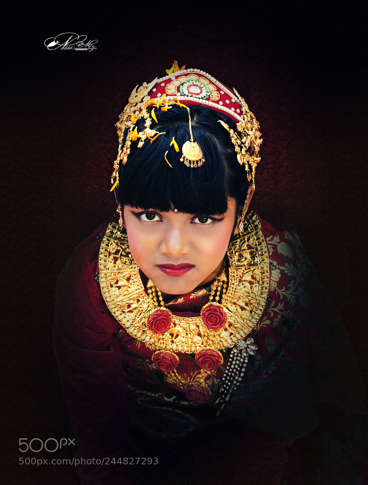 Canon EOS 550D (EOS Rebel T2i / EOS Kiss X4) sample photo. Trisha gufa photography